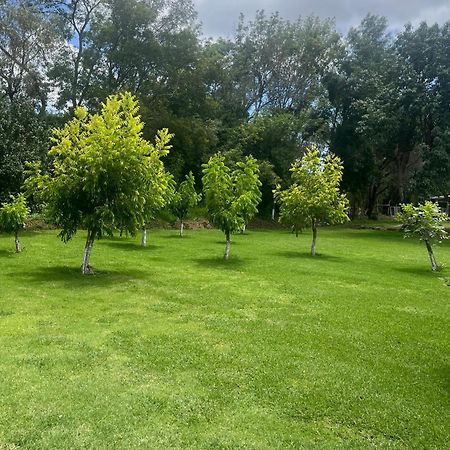 Cabanas Cumbres De Aguacatitla Huasca de Ocampo Eksteriør bilde
