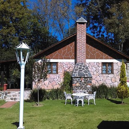 Cabanas Cumbres De Aguacatitla Huasca de Ocampo Eksteriør bilde