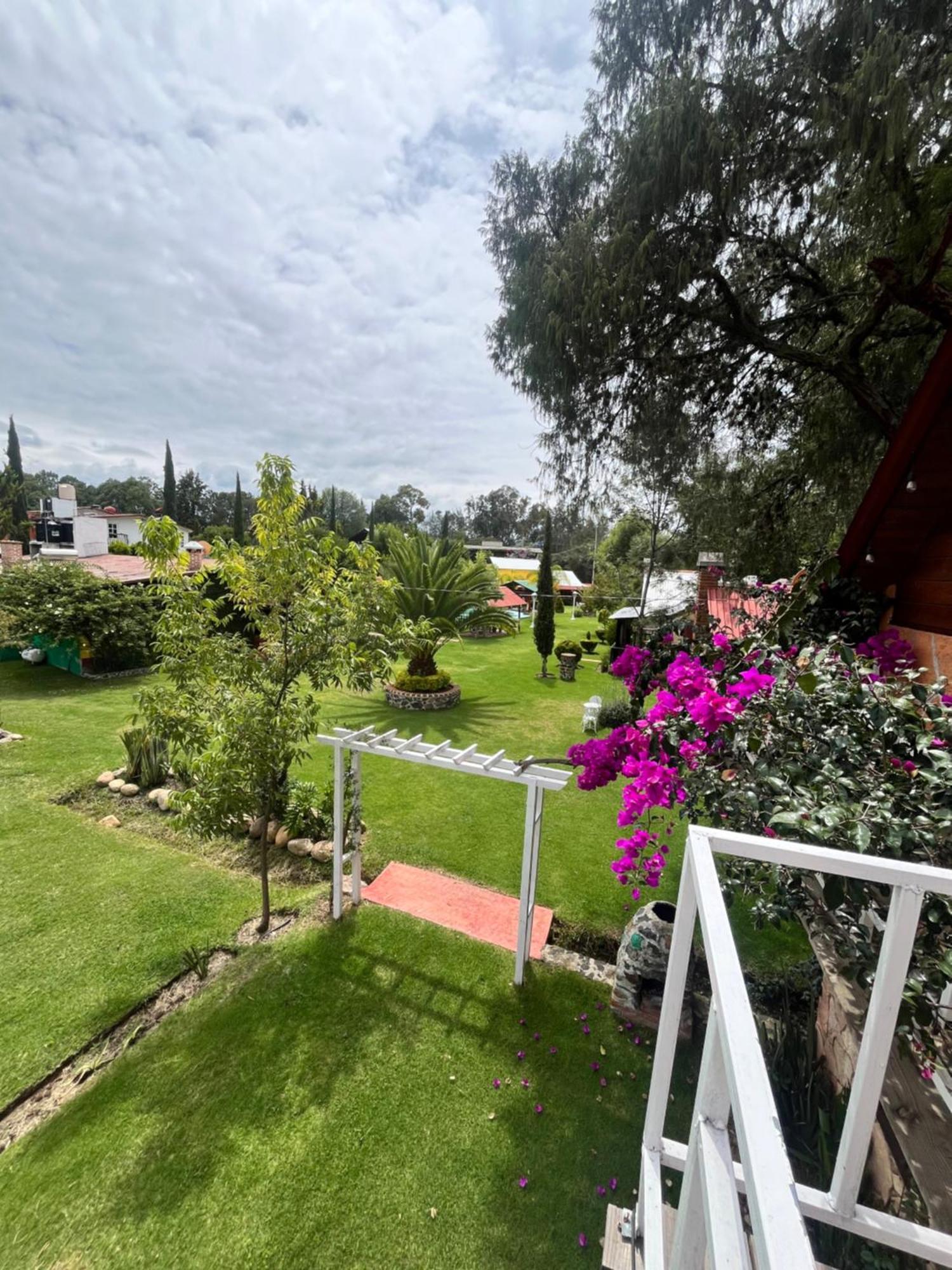 Cabanas Cumbres De Aguacatitla Huasca de Ocampo Eksteriør bilde