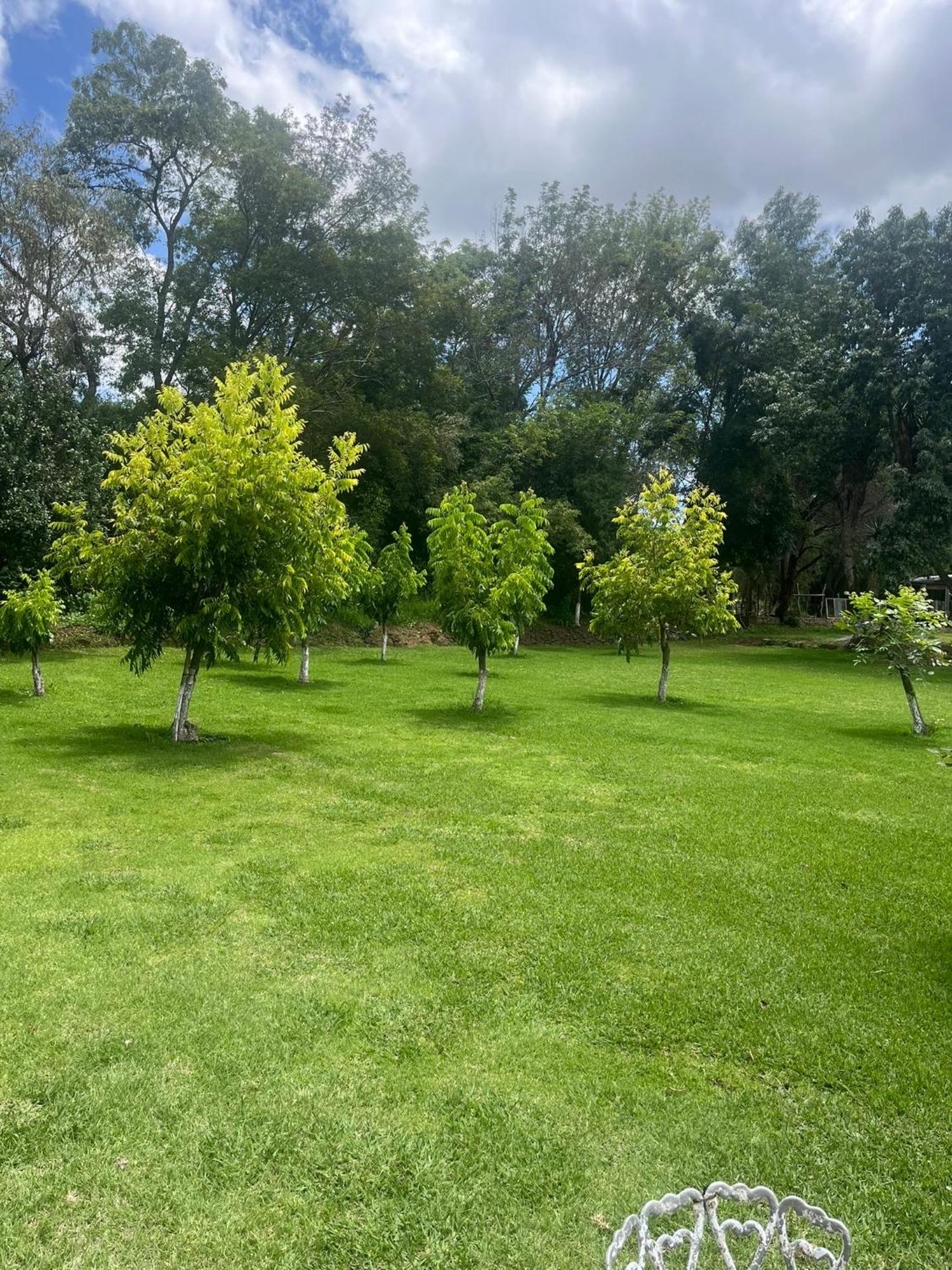 Cabanas Cumbres De Aguacatitla Huasca de Ocampo Eksteriør bilde