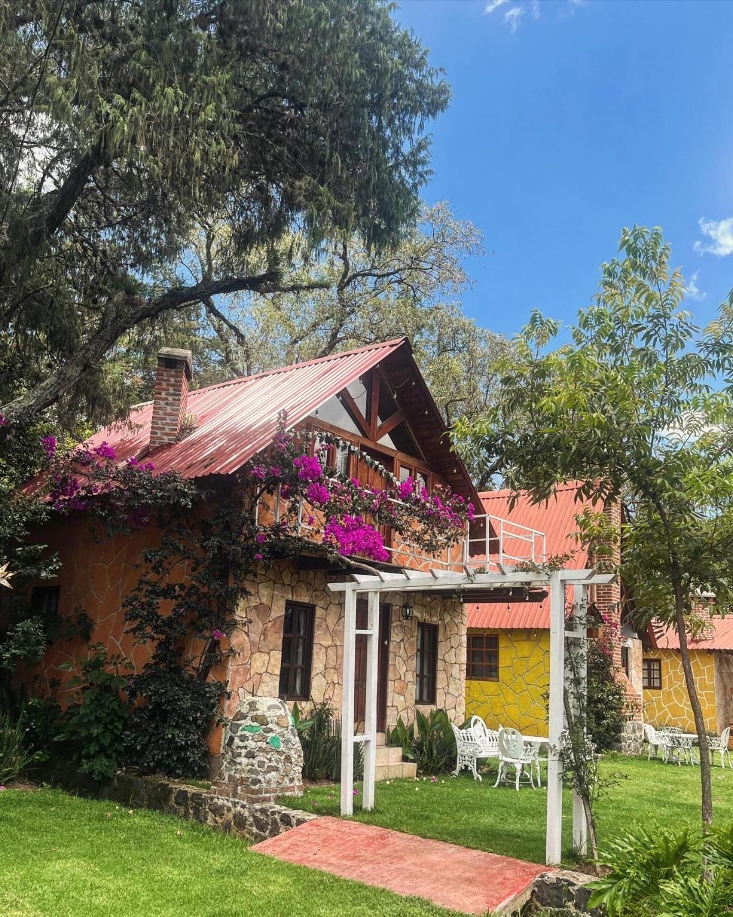 Cabanas Cumbres De Aguacatitla Huasca de Ocampo Eksteriør bilde
