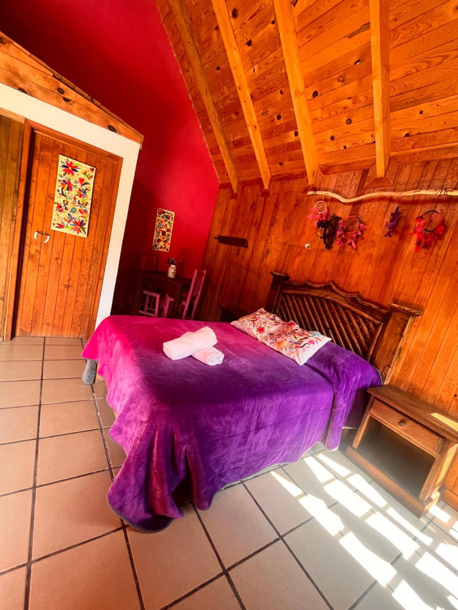 Cabanas Cumbres De Aguacatitla Huasca de Ocampo Eksteriør bilde