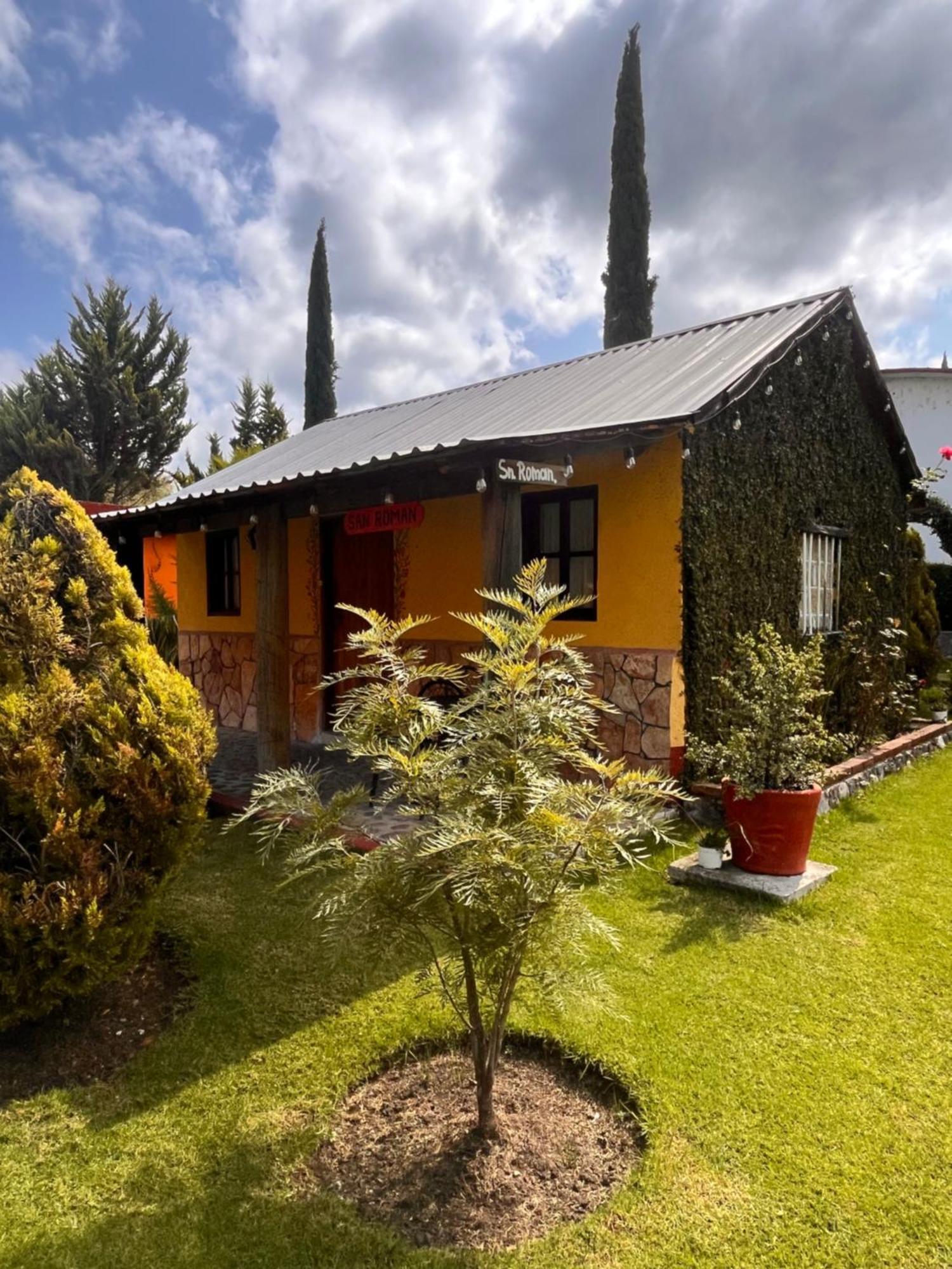 Cabanas Cumbres De Aguacatitla Huasca de Ocampo Eksteriør bilde