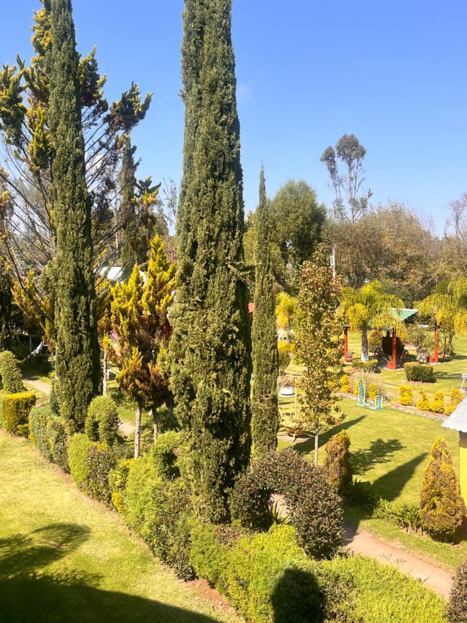 Cabanas Cumbres De Aguacatitla Huasca de Ocampo Eksteriør bilde