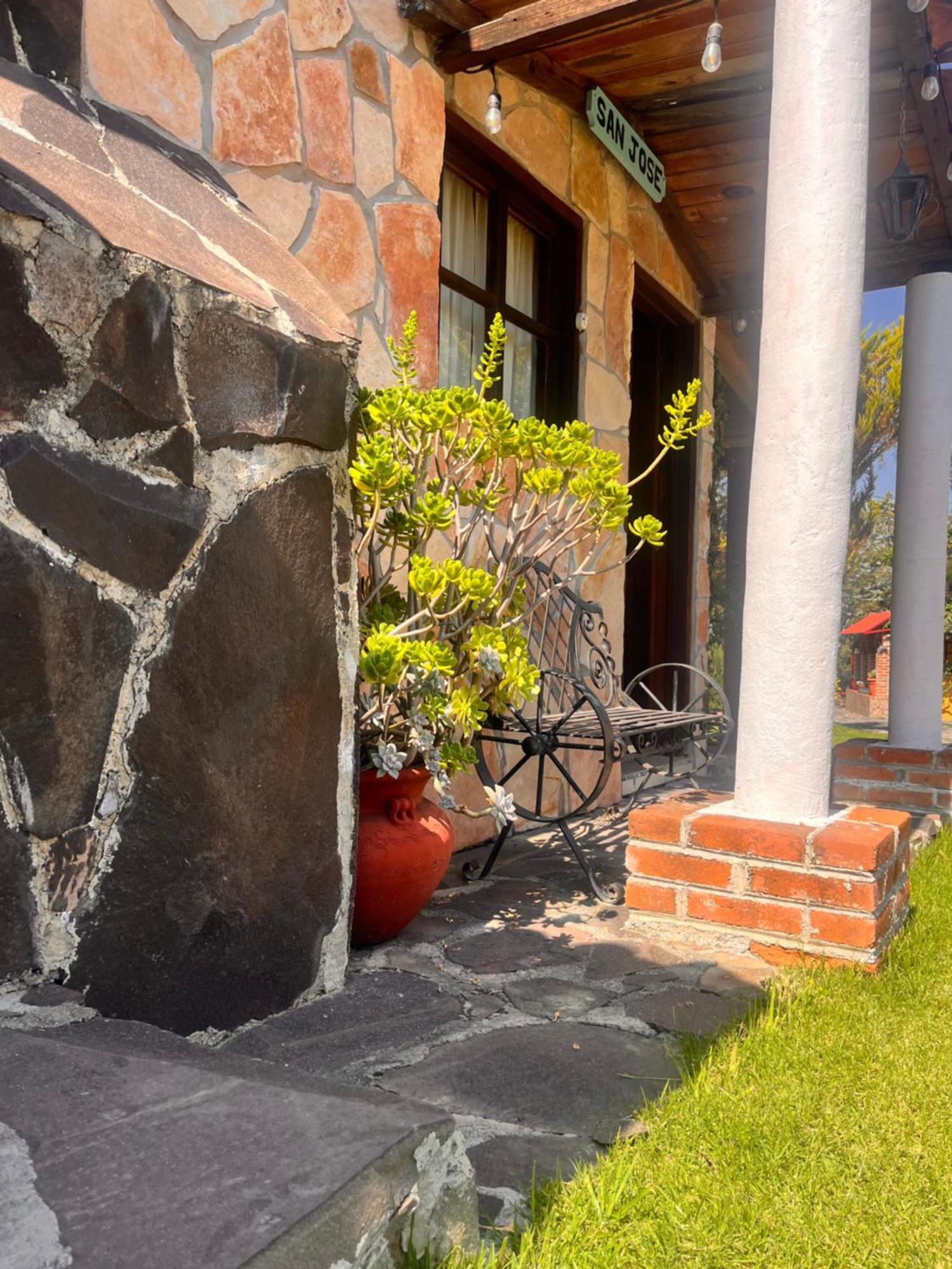 Cabanas Cumbres De Aguacatitla Huasca de Ocampo Eksteriør bilde