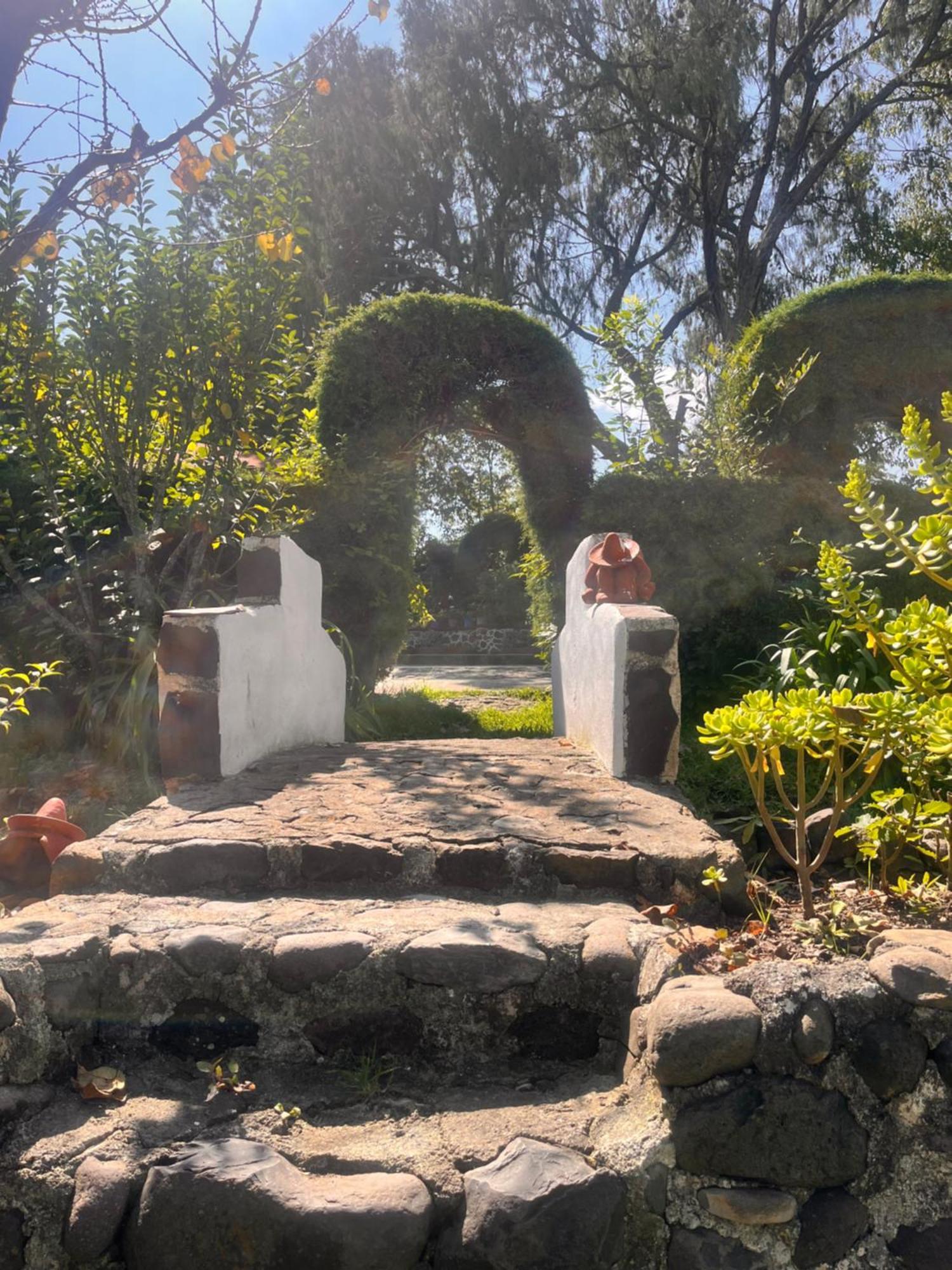 Cabanas Cumbres De Aguacatitla Huasca de Ocampo Eksteriør bilde
