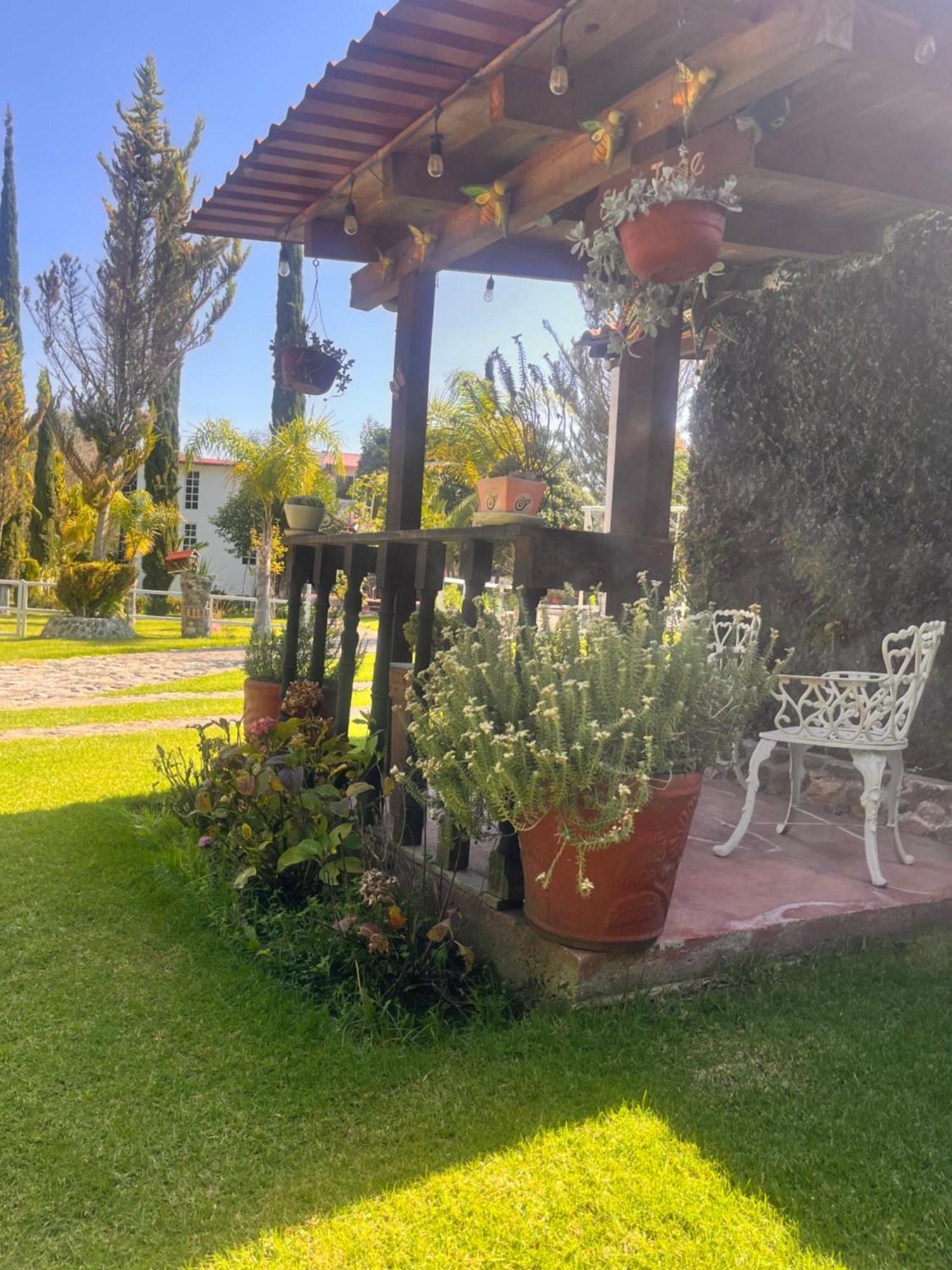 Cabanas Cumbres De Aguacatitla Huasca de Ocampo Eksteriør bilde