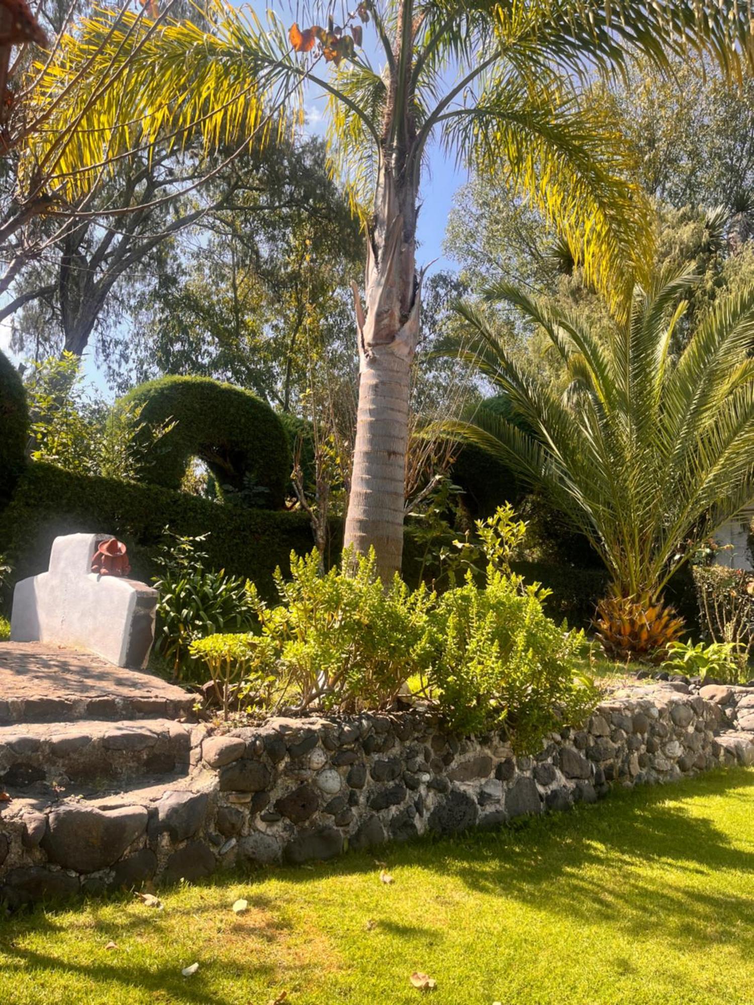 Cabanas Cumbres De Aguacatitla Huasca de Ocampo Eksteriør bilde