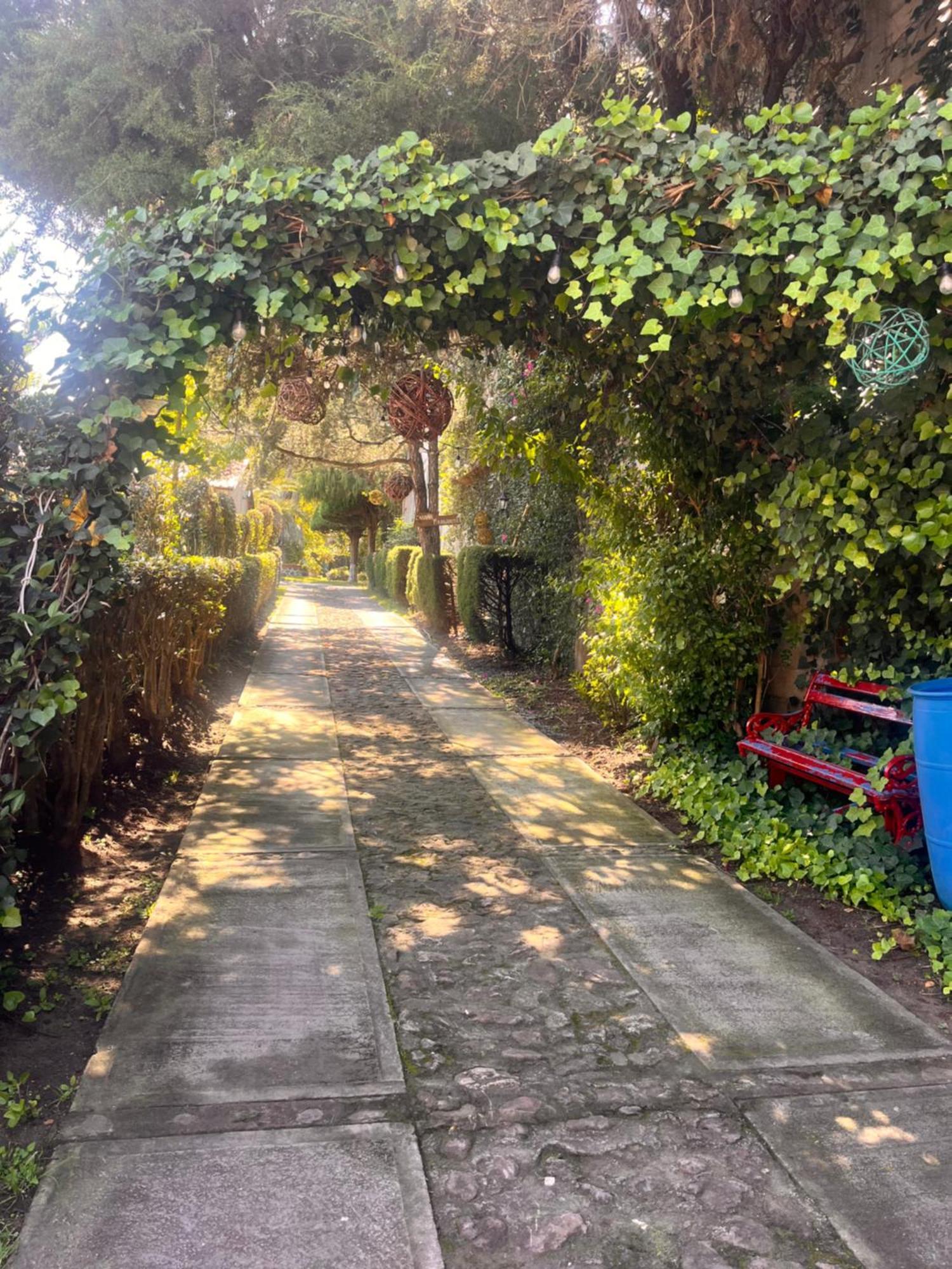 Cabanas Cumbres De Aguacatitla Huasca de Ocampo Eksteriør bilde