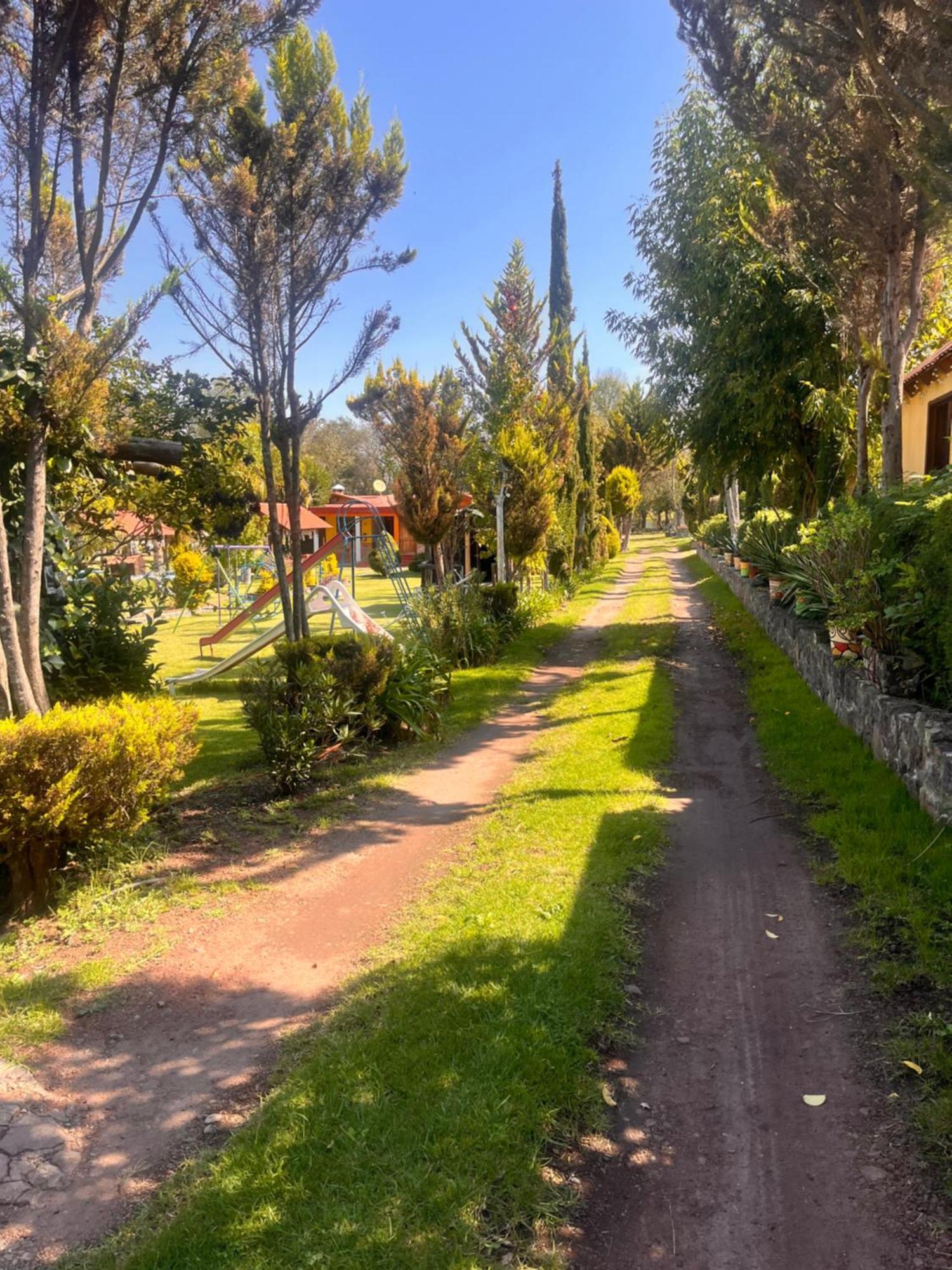Cabanas Cumbres De Aguacatitla Huasca de Ocampo Eksteriør bilde