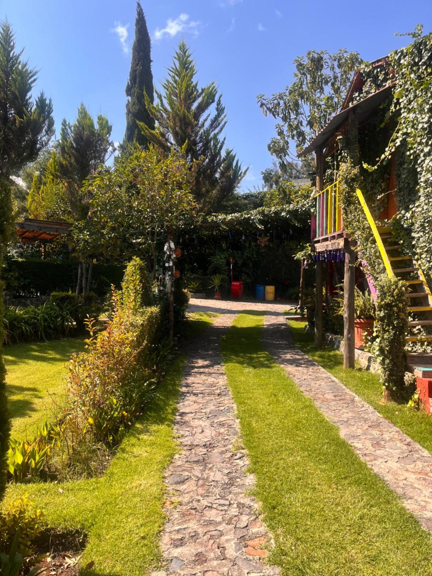 Cabanas Cumbres De Aguacatitla Huasca de Ocampo Eksteriør bilde