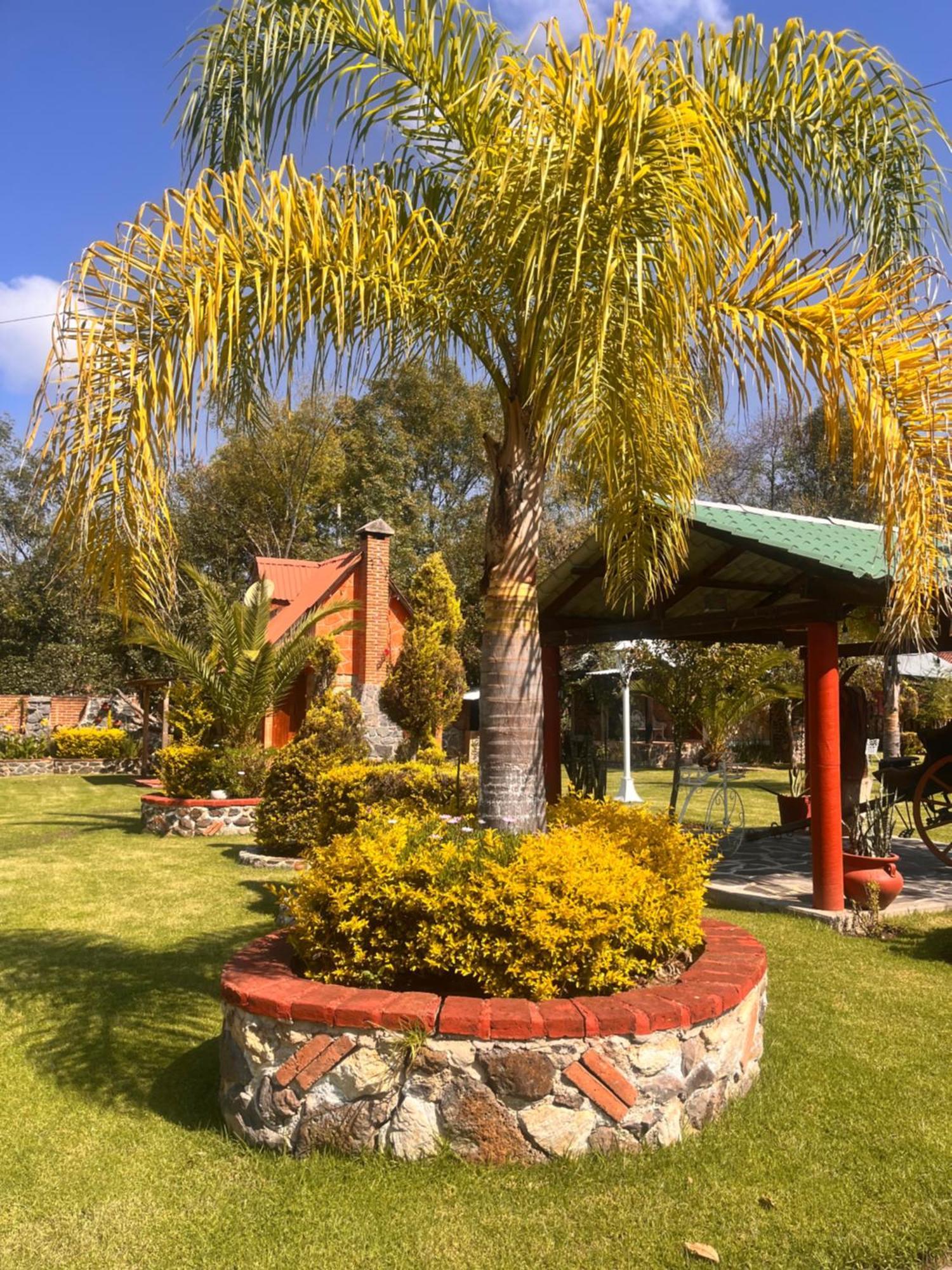 Cabanas Cumbres De Aguacatitla Huasca de Ocampo Eksteriør bilde