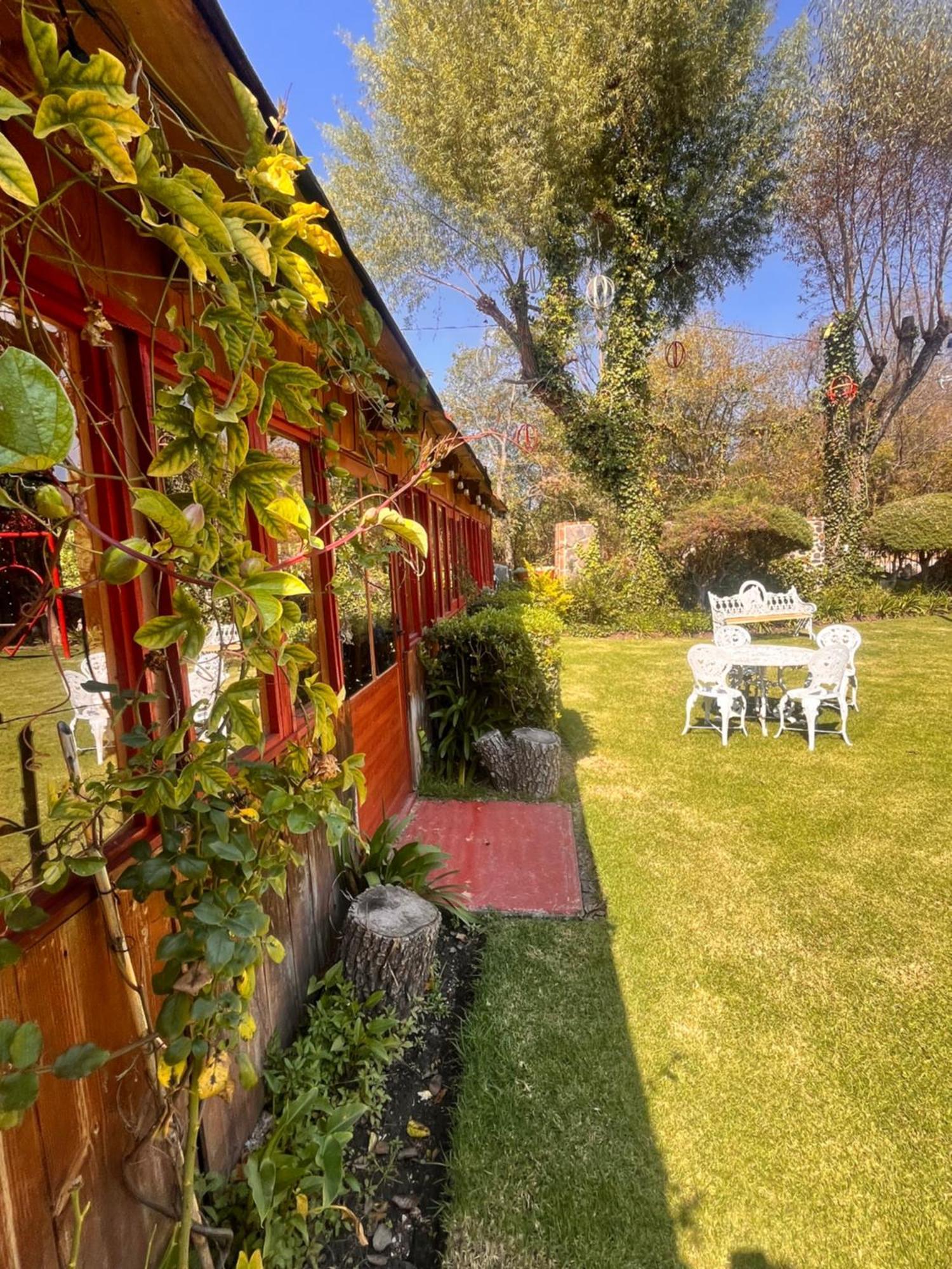 Cabanas Cumbres De Aguacatitla Huasca de Ocampo Eksteriør bilde