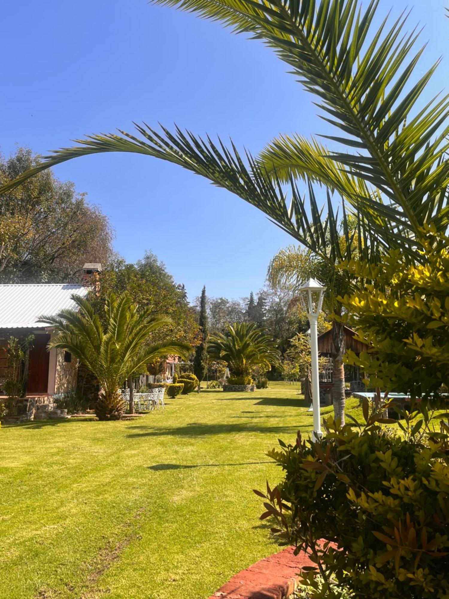 Cabanas Cumbres De Aguacatitla Huasca de Ocampo Eksteriør bilde