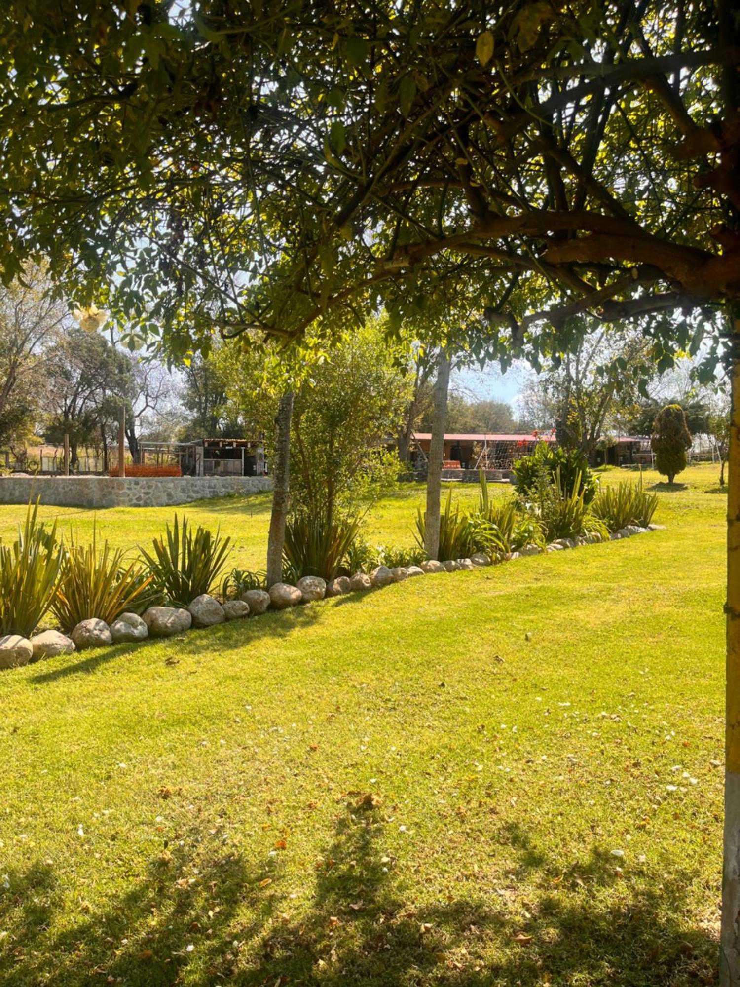 Cabanas Cumbres De Aguacatitla Huasca de Ocampo Eksteriør bilde