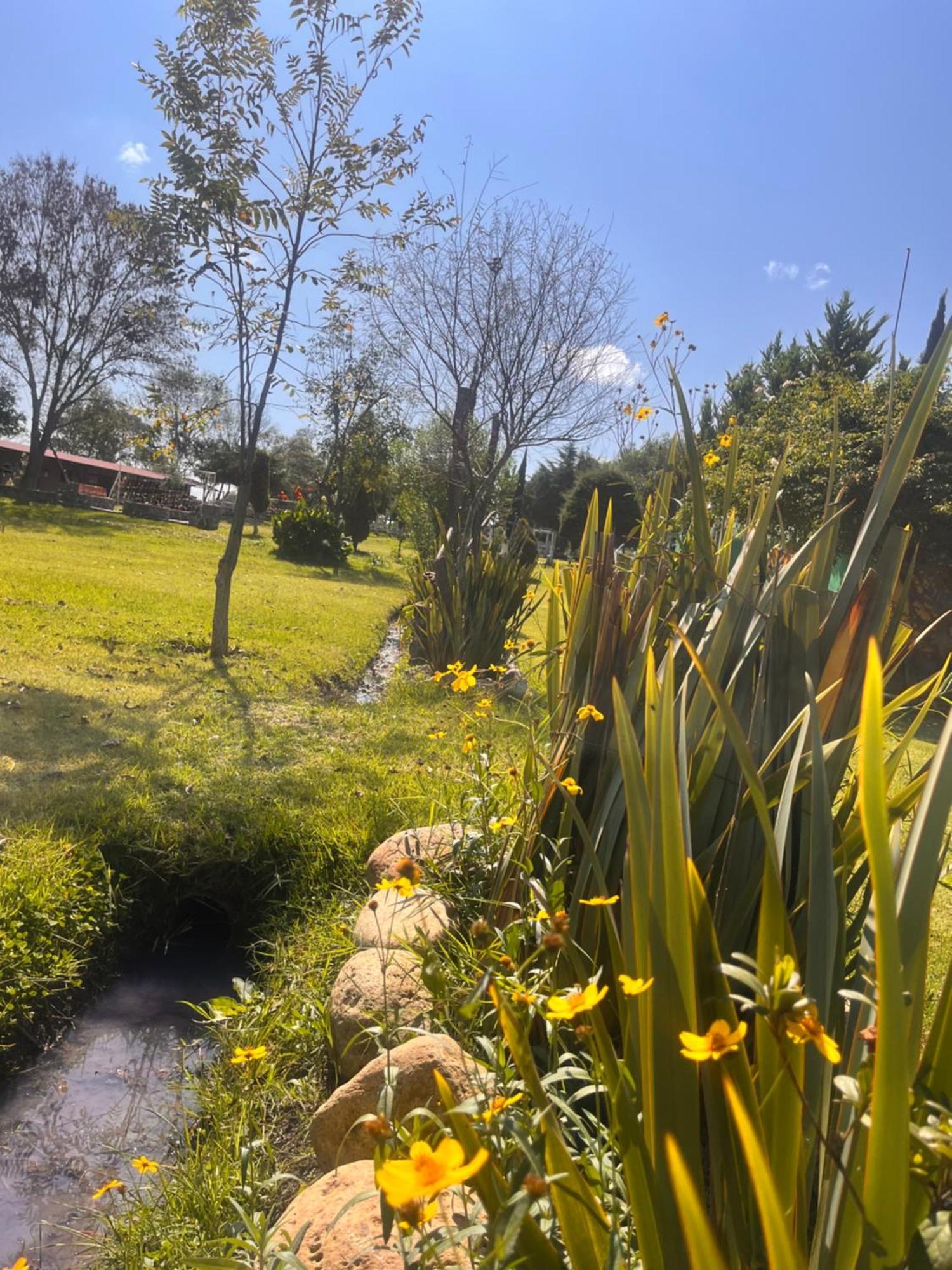 Cabanas Cumbres De Aguacatitla Huasca de Ocampo Eksteriør bilde