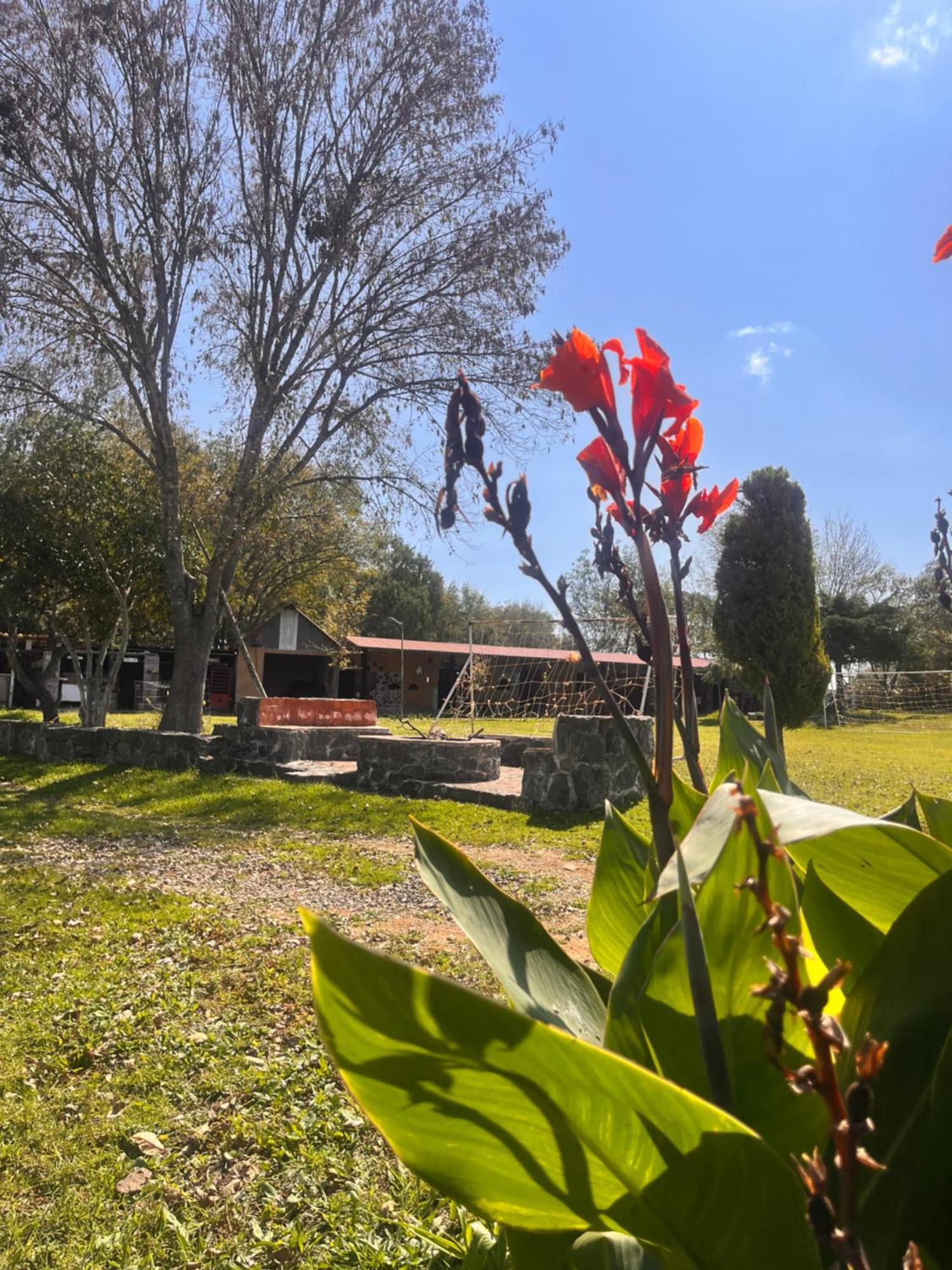 Cabanas Cumbres De Aguacatitla Huasca de Ocampo Eksteriør bilde