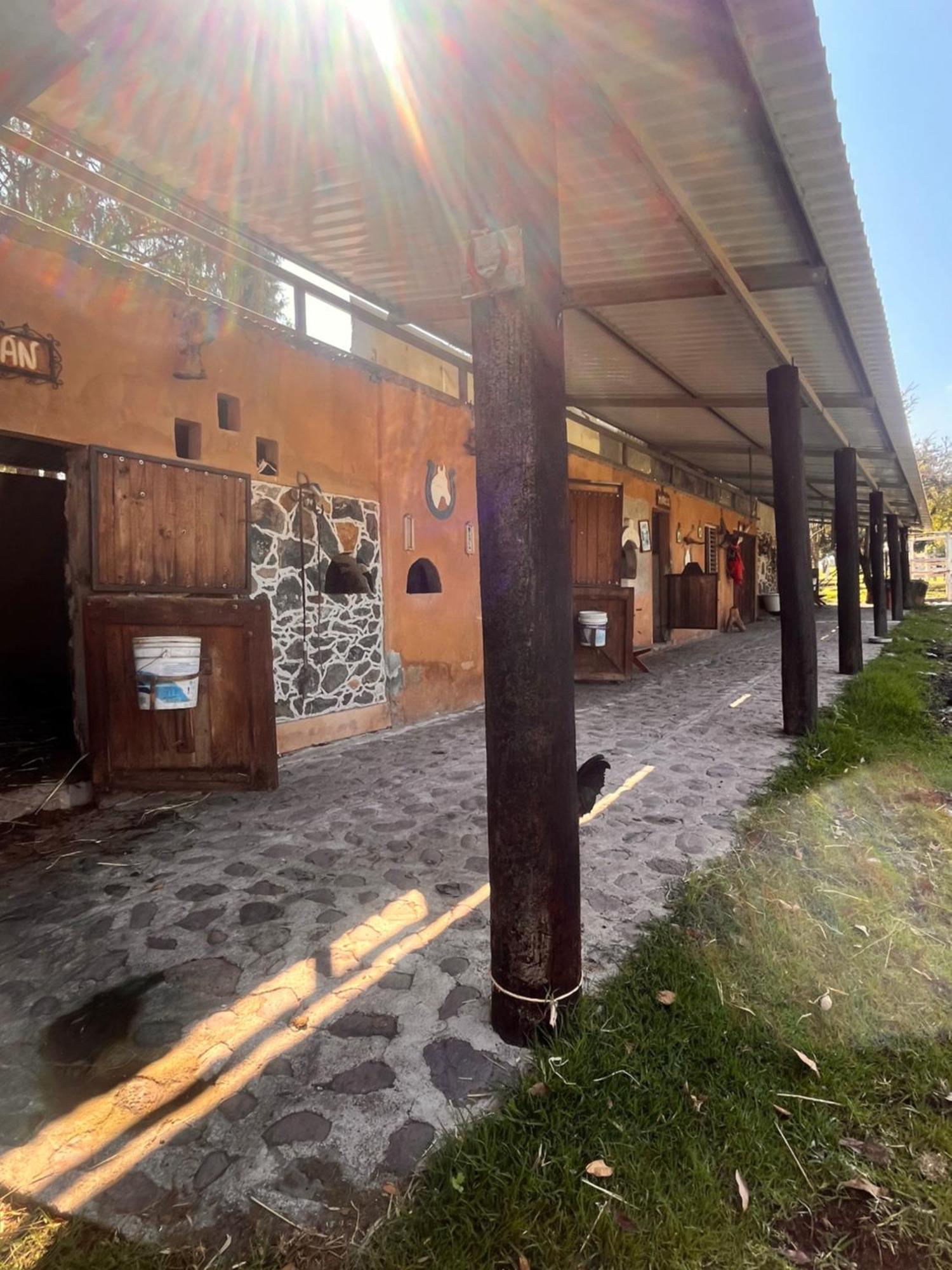Cabanas Cumbres De Aguacatitla Huasca de Ocampo Eksteriør bilde