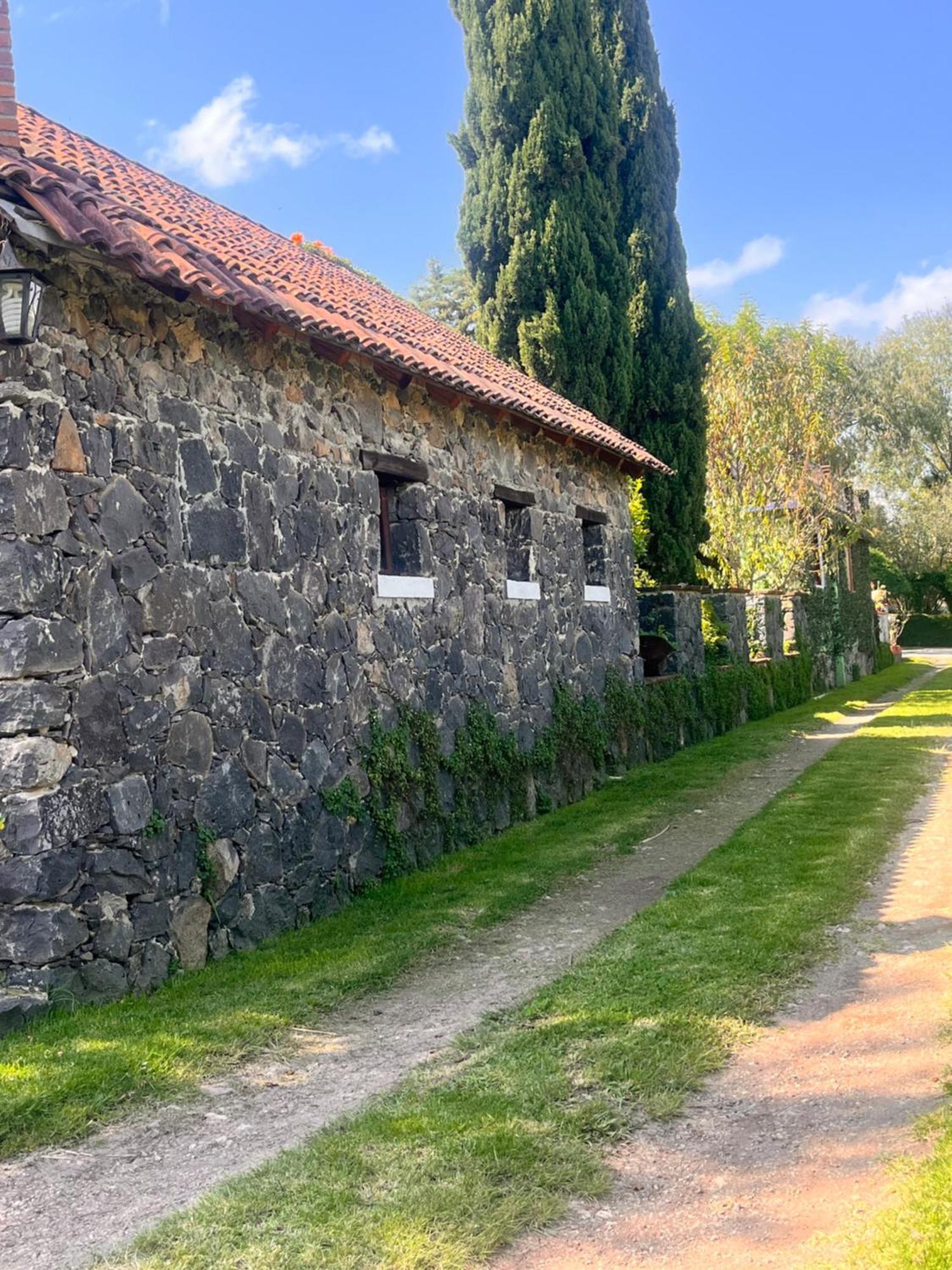 Cabanas Cumbres De Aguacatitla Huasca de Ocampo Eksteriør bilde