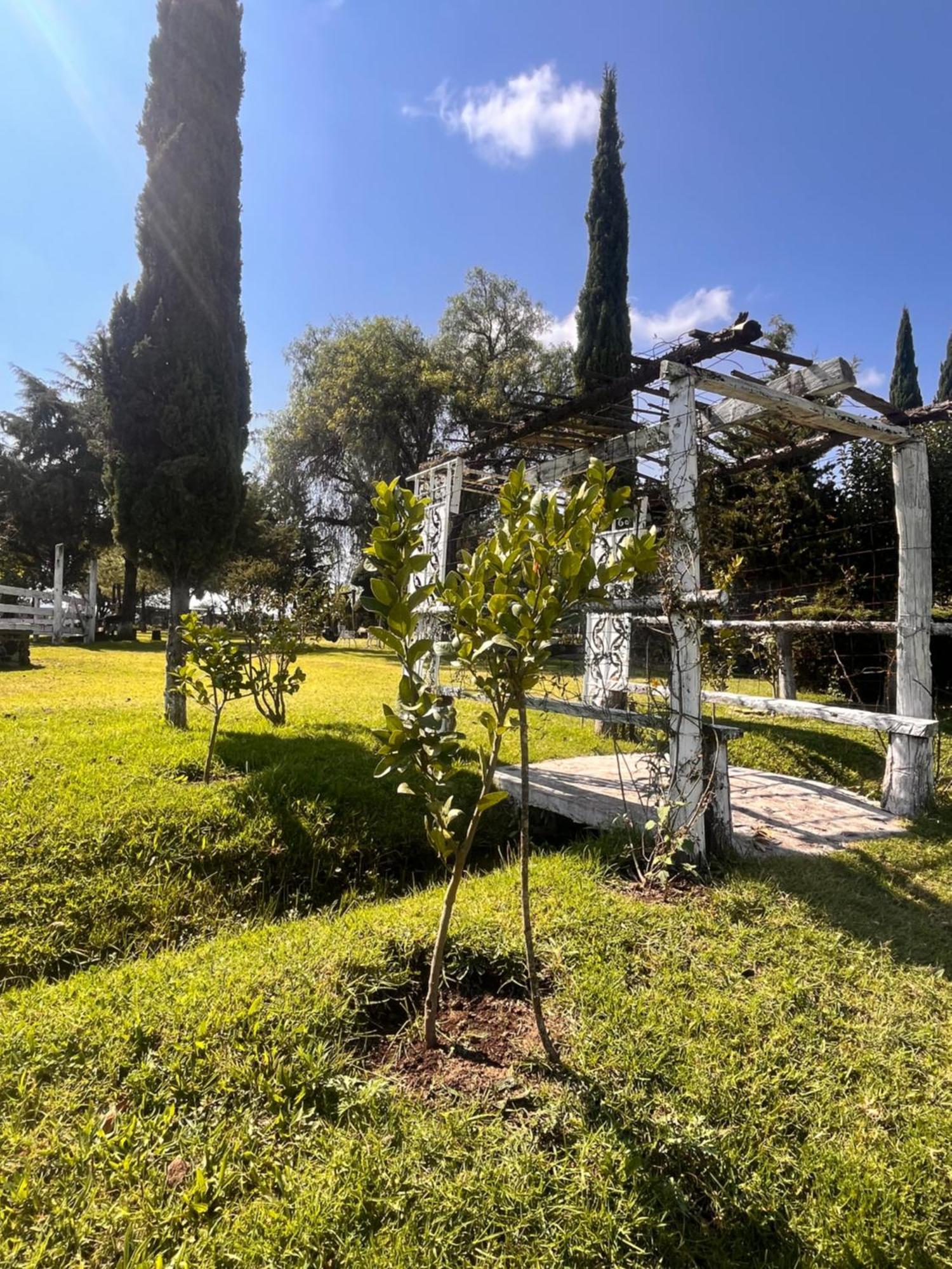 Cabanas Cumbres De Aguacatitla Huasca de Ocampo Eksteriør bilde
