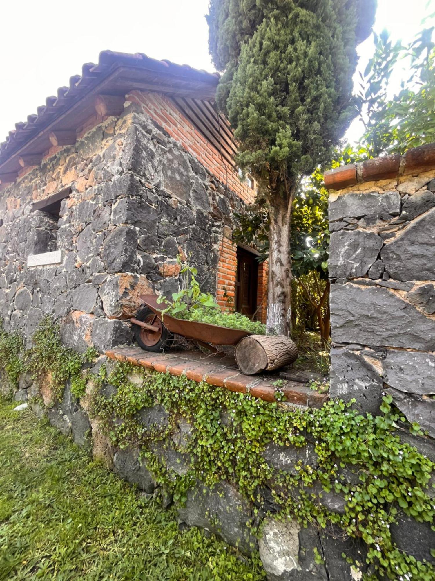 Cabanas Cumbres De Aguacatitla Huasca de Ocampo Eksteriør bilde