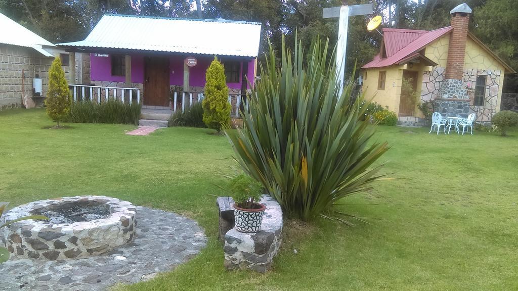 Cabanas Cumbres De Aguacatitla Villa Huasca de Ocampo Eksteriør bilde
